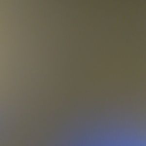 Meet your Posher, Hunter